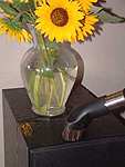 Reduce Allergy and Asthma Symptom